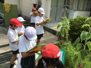 戸田第一幼稚園 制服、鞄、靴、その他（男の子）