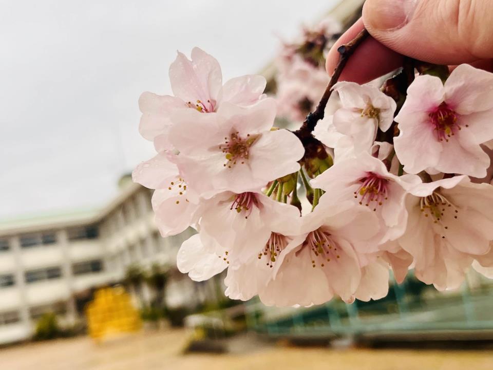 お花と葉っぱの傘立て兼帽子掛け 奈良県 手作り 【公式通販】
