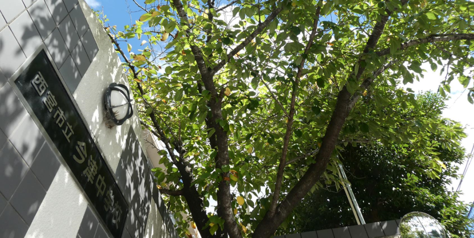 今津中学校❗️栄光の記録 西宮市立今津中学校 シンフォニックバンド