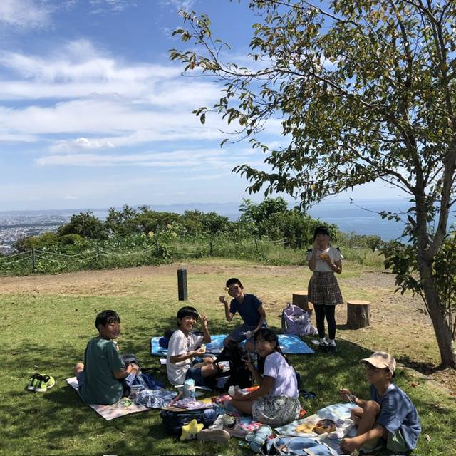 約３ヶ月分 ⭐️約80種類の野草、野菜、キノコ、果実をギュッと凝縮！