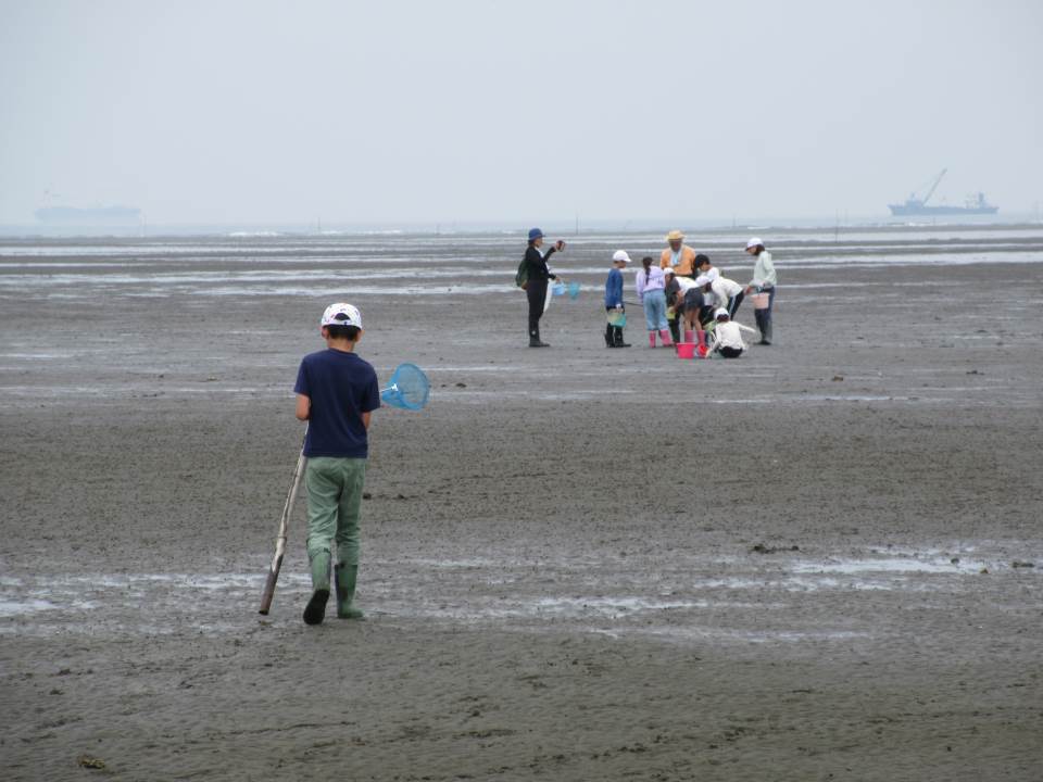 骨密度アップ！】海のエール3ヶ月分 （社会福祉法人 八起会