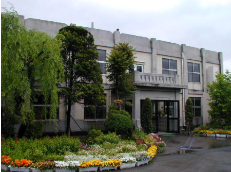 木更津市立金田小学校