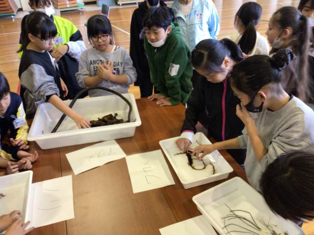 JS美少女本屋　JS　逆さ撮り 君津市立南子安小学校-ニュース - トピックス -