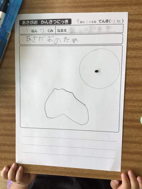 海水魚鑑賞　備品いろいろ（全品購入の方募集） 海水魚鑑賞備品いろいろ（全品購入の方募集）