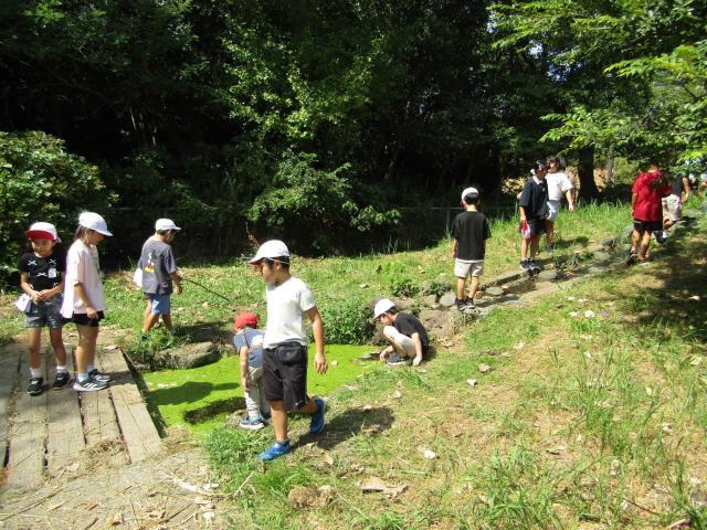 【中古】 食で育む心と体 地域・家庭・学校のネットワークを生かして/教育出版/寺津小学校（西尾市立） 令和6年度用 小学校生活科 | 信州教育出版社