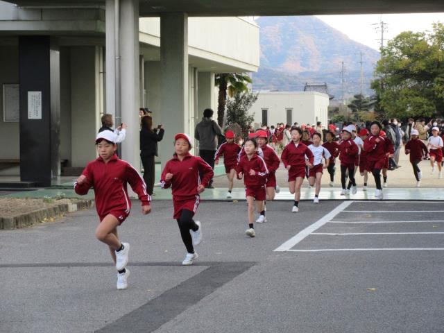 小学生生えかけのマン毛 