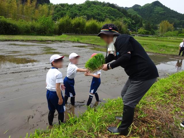 やきいも焼けます イベントにも 模擬店 学園文化祭り イベント 農家さんに
