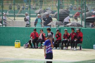 第5回 全日本バレーボール 小学生大会 ライオンカップ ステッカー 松本