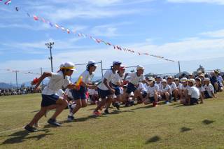 保育士向け】CD＆DVDセット 20枚以上【振付・発表会・運動会・親子レク】-