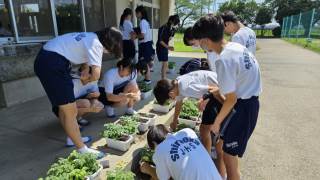 九州家庭教師協会 パスロード 4年 国語 （学校生活 - 苓北町立