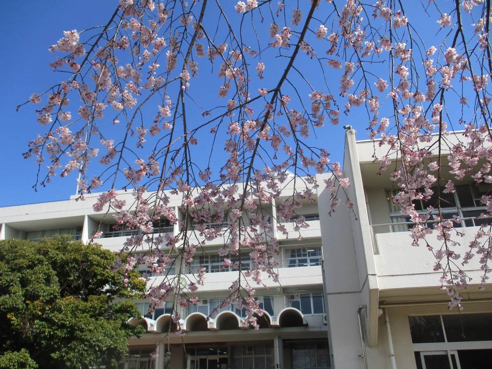袖ケ浦市立平岡小学校
