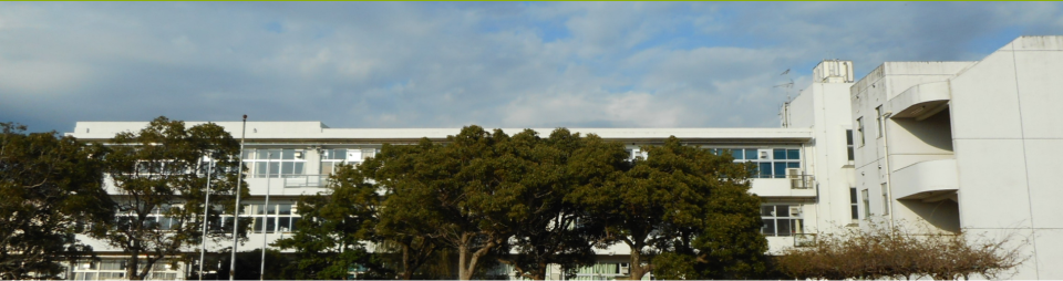 袖ケ浦市立 根形小学校
