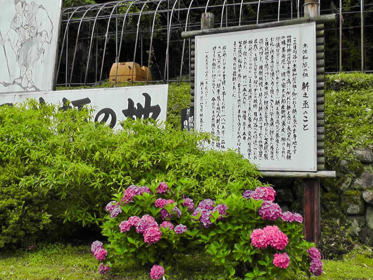 新愛媛風土記 愛媛・新風土記 / 横山 昭市【著】 - 紀伊國屋書店ウェブストア