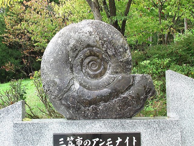 知恵の輪-化石（アンモナイト）2🌐
