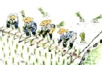 知恵の輪-昔の田植えの道具🌾