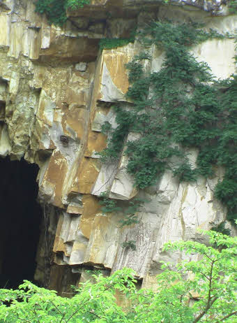 知恵の輪-41砥石山公園2??‍♂️