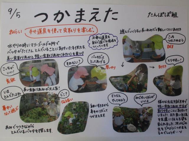白線流し ディレクターズカット版」他 DVD 全9巻完結セット 長瀬