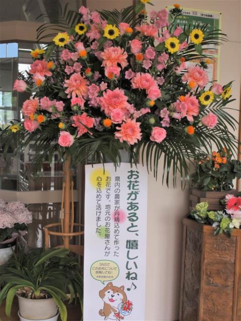 秋田市立御所野小学校 ニュース 活動写真