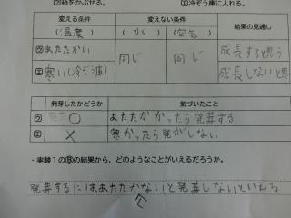 彦根市立旭森小学校 ニュース 学校生活