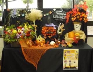 近江八幡市立八幡小学校 ニュース 学校生活