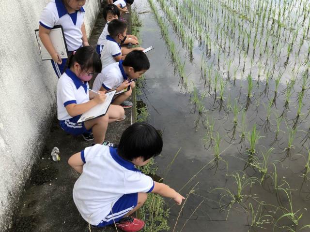 神崎郡市川町教育委員会 ニュース 学校の様子