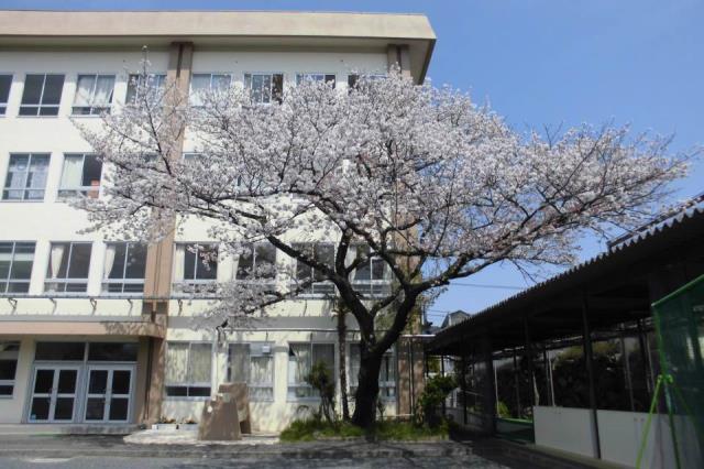 稲城市立稲城第一中学校 トップページ