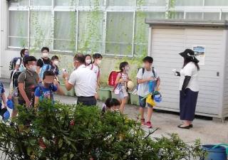 彦根市立城西小学校 ニュース 城西ｎｅｗｓ