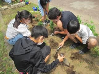 木更津市立八幡台小学校 ニュース 学校の様子