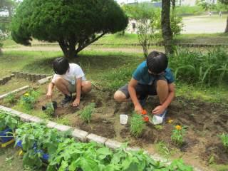 木更津市立八幡台小学校 ニュース 学校の様子