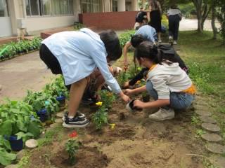 木更津市立八幡台小学校 ニュース 学校の様子
