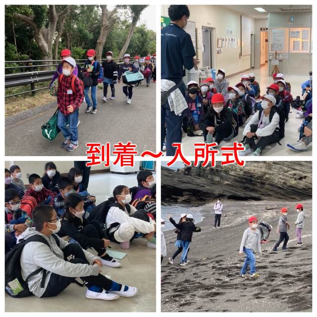 国内外の人気 苗 www.southriverlandscapes.com