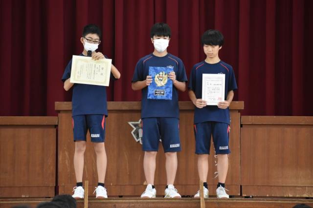モザイクランプ 四季 緑 赤 黄 青系４色 最も完璧な インテリア