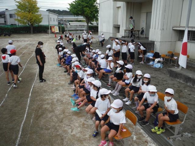 2vbaoe7k91q4cm