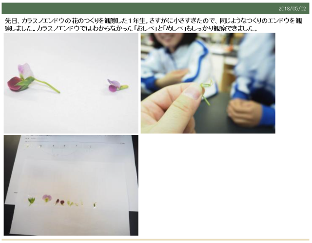 君津市立上総小櫃中学校 ニュース 亀山中学校