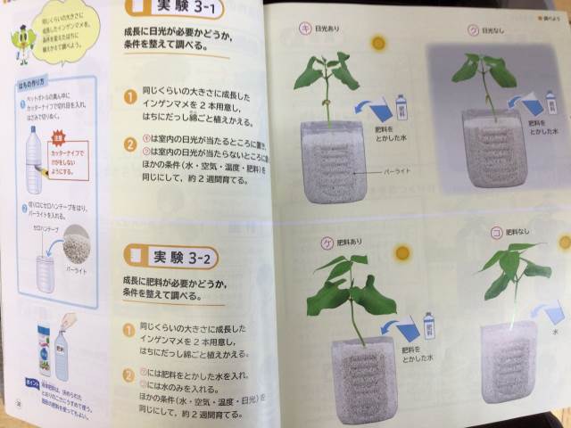 君津市立貞元小学校-ニュース 学校の様子