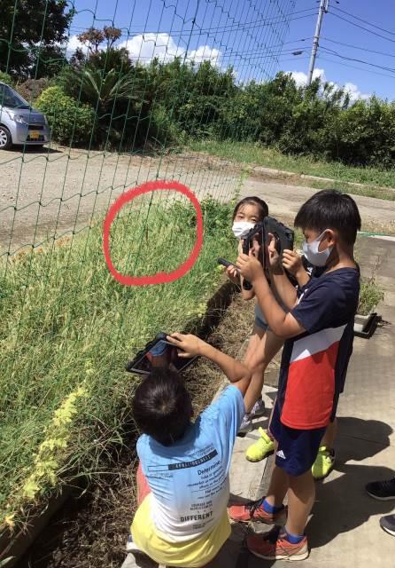 君津市立貞元小学校 ニュース 学校の様子