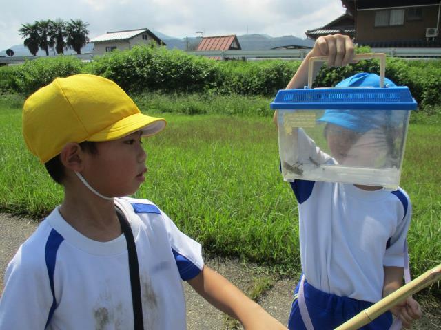 まんのう町立琴南小学校 ニュース 今日のできごと