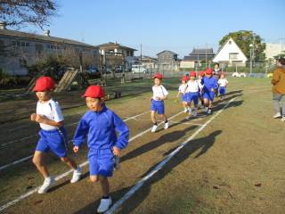 まんのう町立琴南小学校 ニュース 今日のできごと