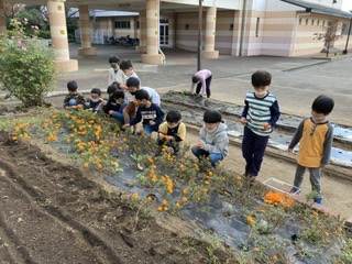 稲城市立向陽台小学校 ニュース 学校日記