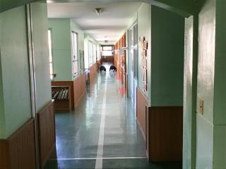 下松市立公集小学校 ニュース 教育活動行事