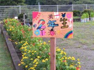 常陸大宮市立美和小学校 ニュース 美和小ニュース