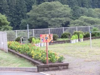 常陸大宮市立美和小学校 ニュース 美和小ニュース