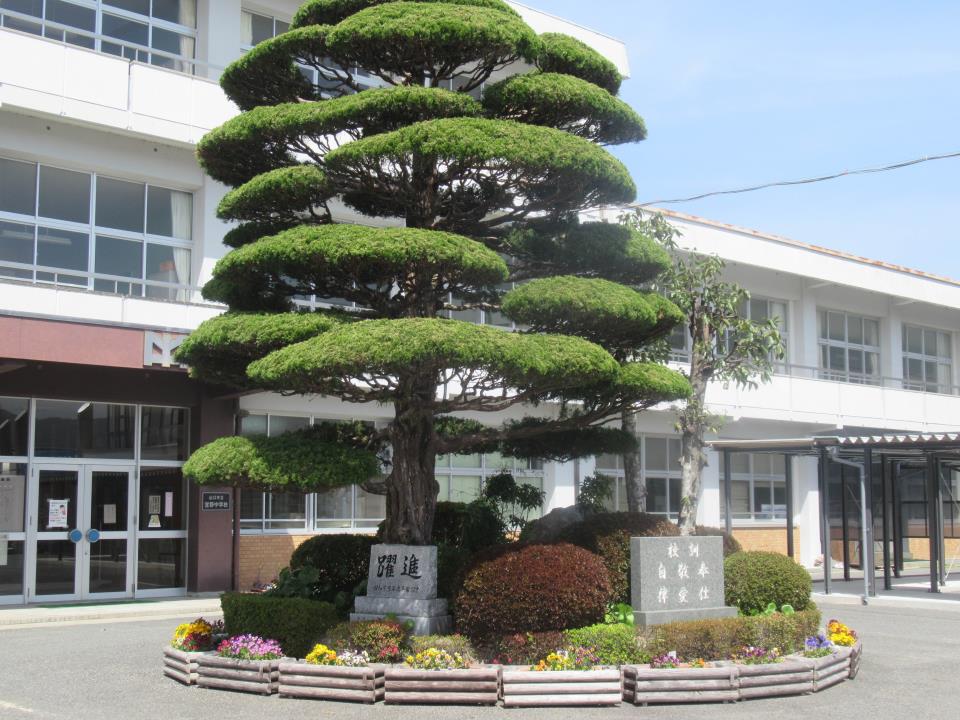 山口市立宮野中学校 ニュース 今日のできごと