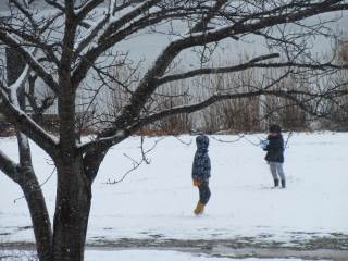 近江八幡市立沖島小学校 ニュース 学校生活