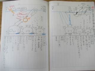 さぬき市立寒川小学校 ニュース 今日のできごと