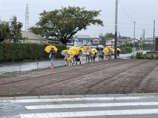 白岡市立篠津小学校 ニュース 日々の生活
