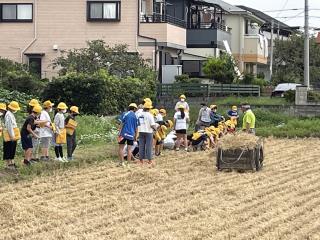 白岡市立篠津小学校-ニュース - 日々の生活 -