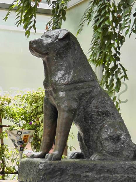 知恵の輪 彫刻の世界 忠犬ハチ公