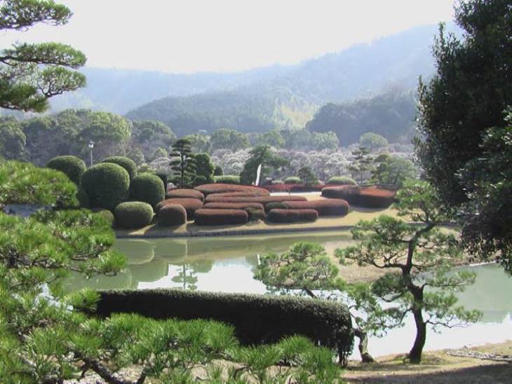 知恵の輪 冬の南楽園1