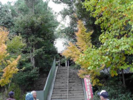 知恵の輪松山・蓮華寺・卍